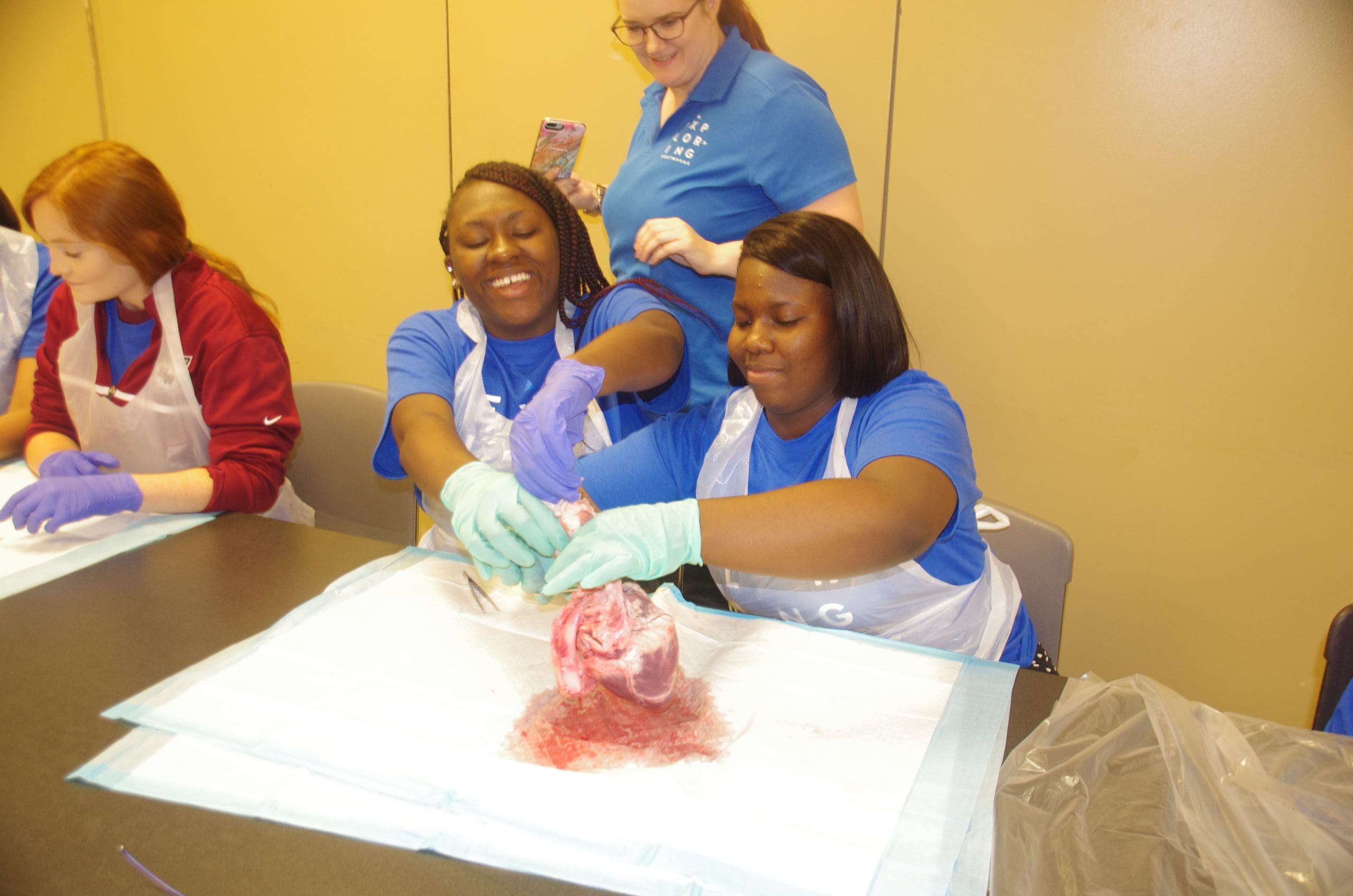 Community Outreach by Nursing Professionals